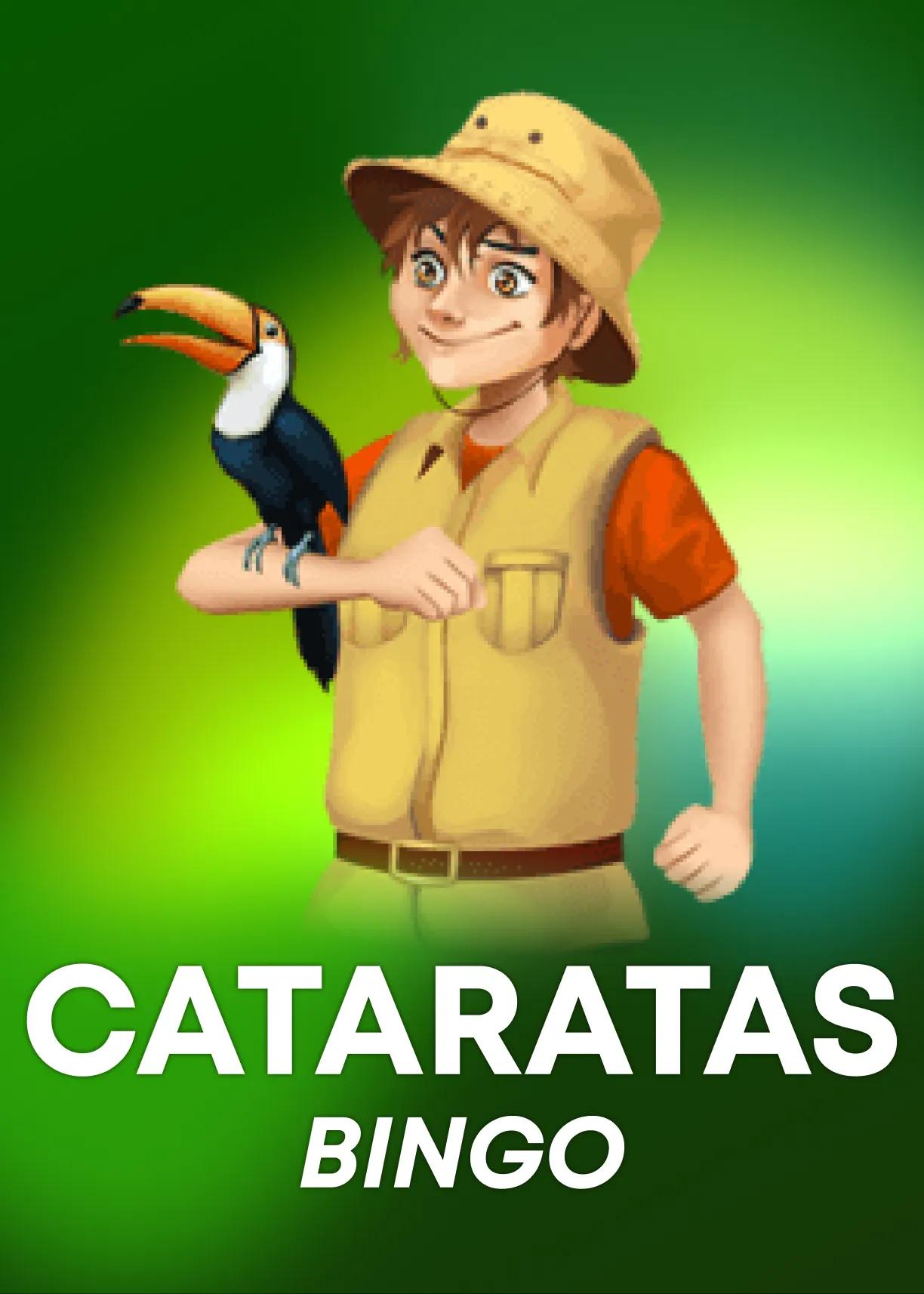 Cataratas Bingo