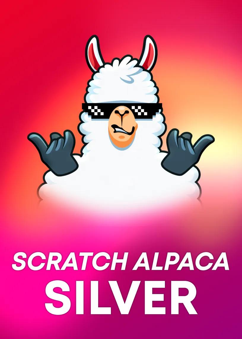 Scratch Alpaca Silver